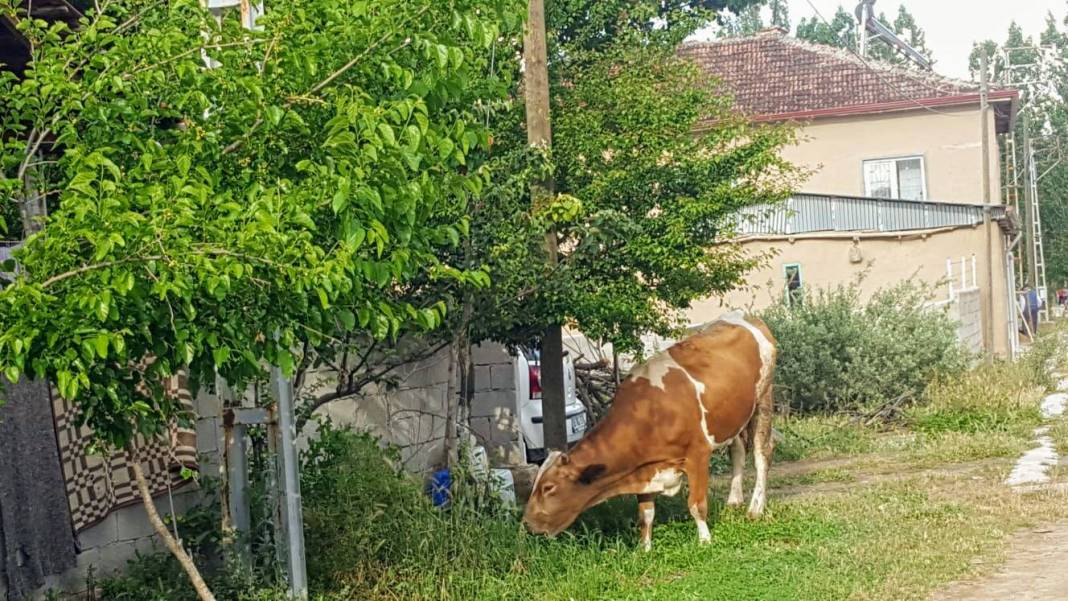 Sorgun Büyükören Köyü Resimleri 8