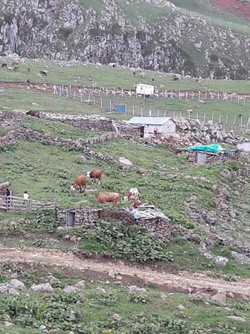 Ardahan Bağdaşan Köyü Resimleri 4