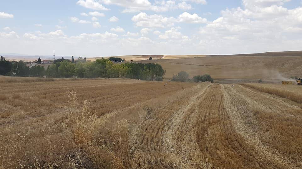 Sorgun Çakırhacılı Köyü Resimleri 3