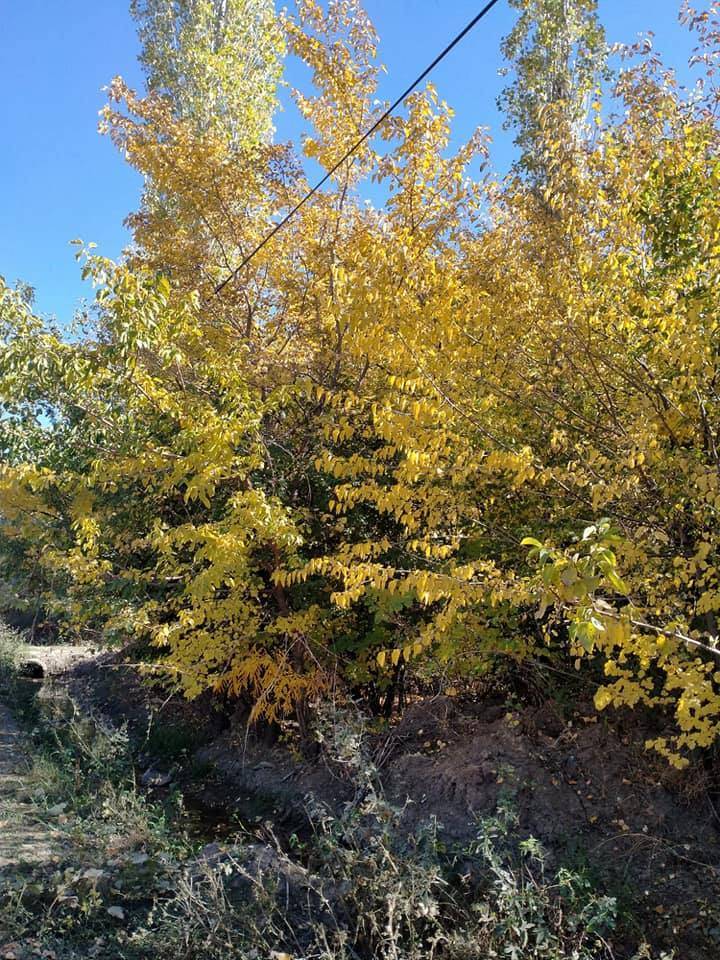 Iğdır Bayraktutan Köyü Resimleri 2