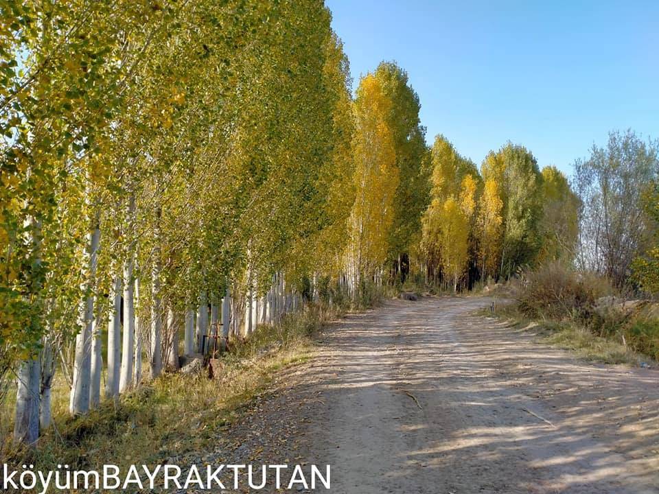 Iğdır Bayraktutan Köyü Resimleri 6