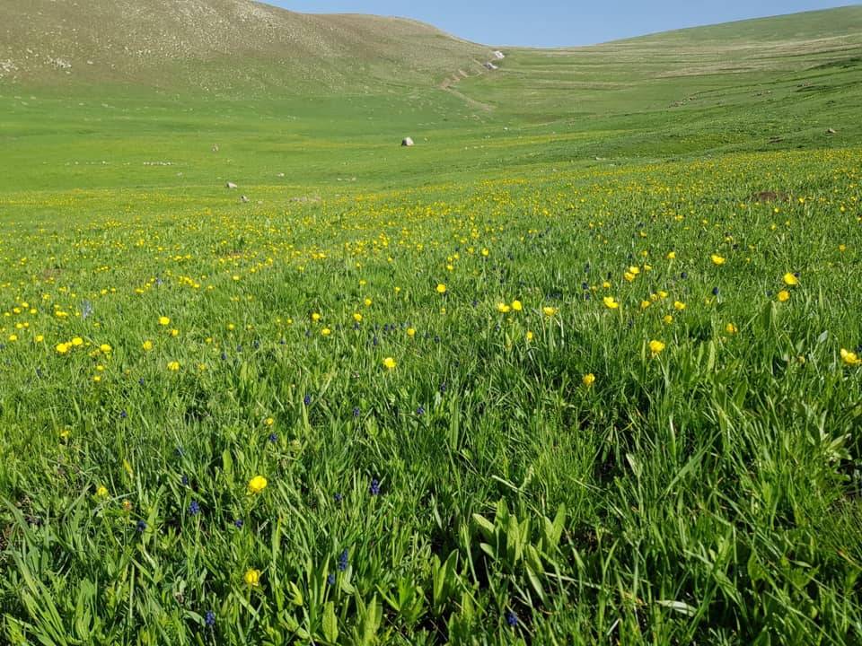 Iğdır Bendemurat Köyü Resimleri 3