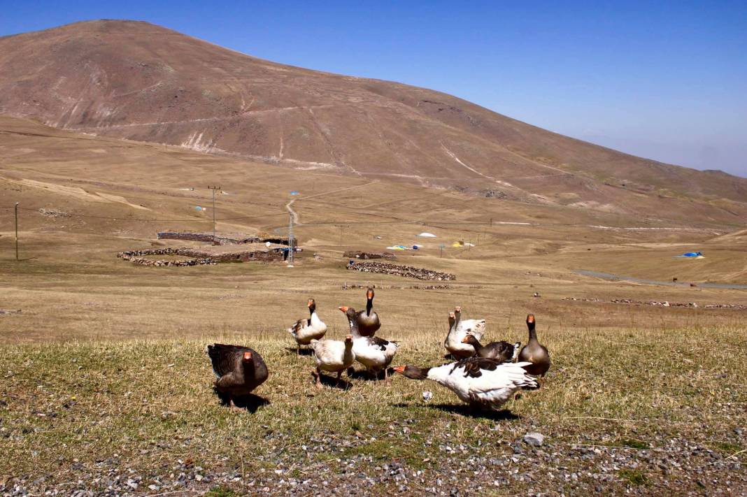 Iğdır Çilli Köyü Resimleri 2