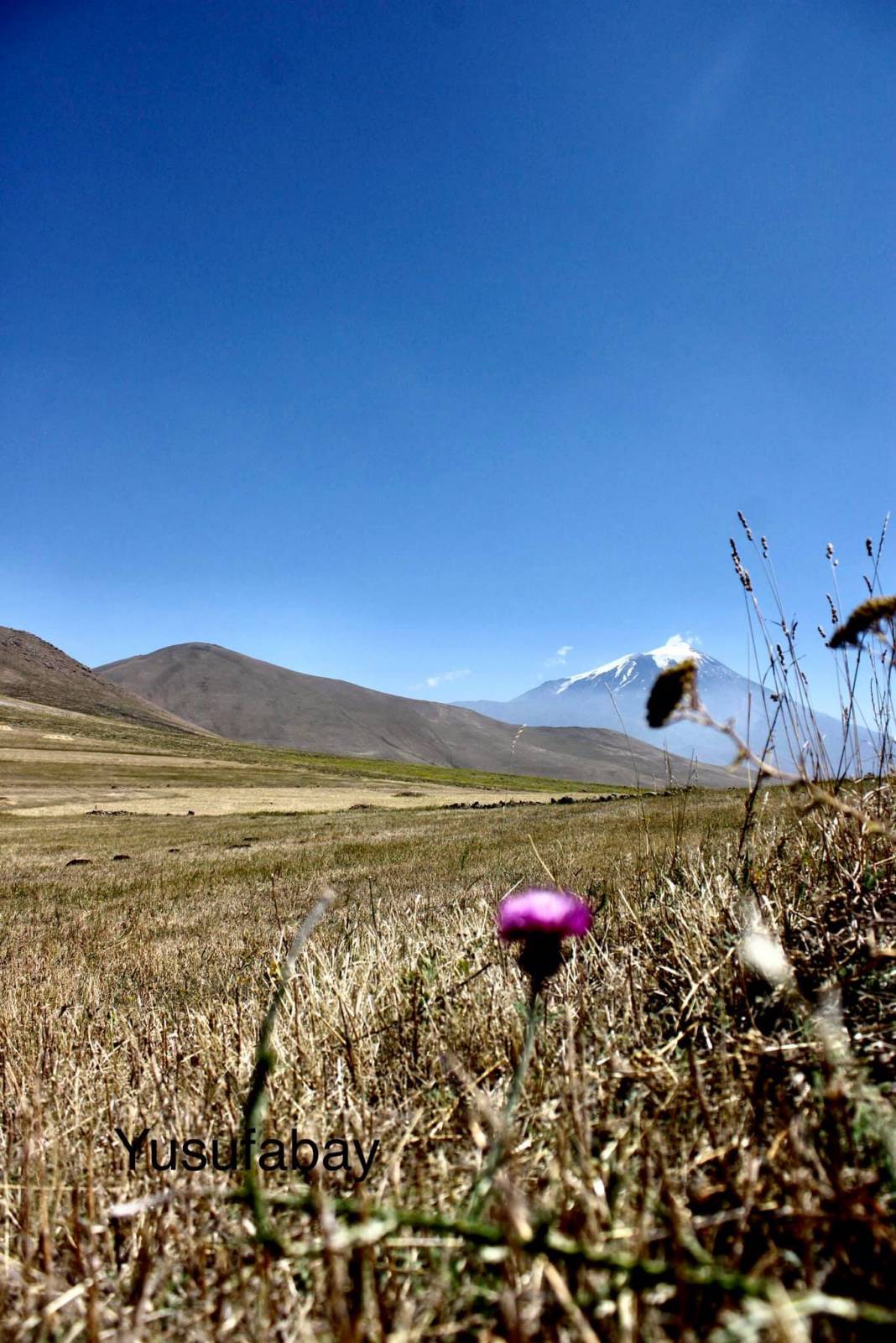 Iğdır Çilli Köyü Resimleri 4