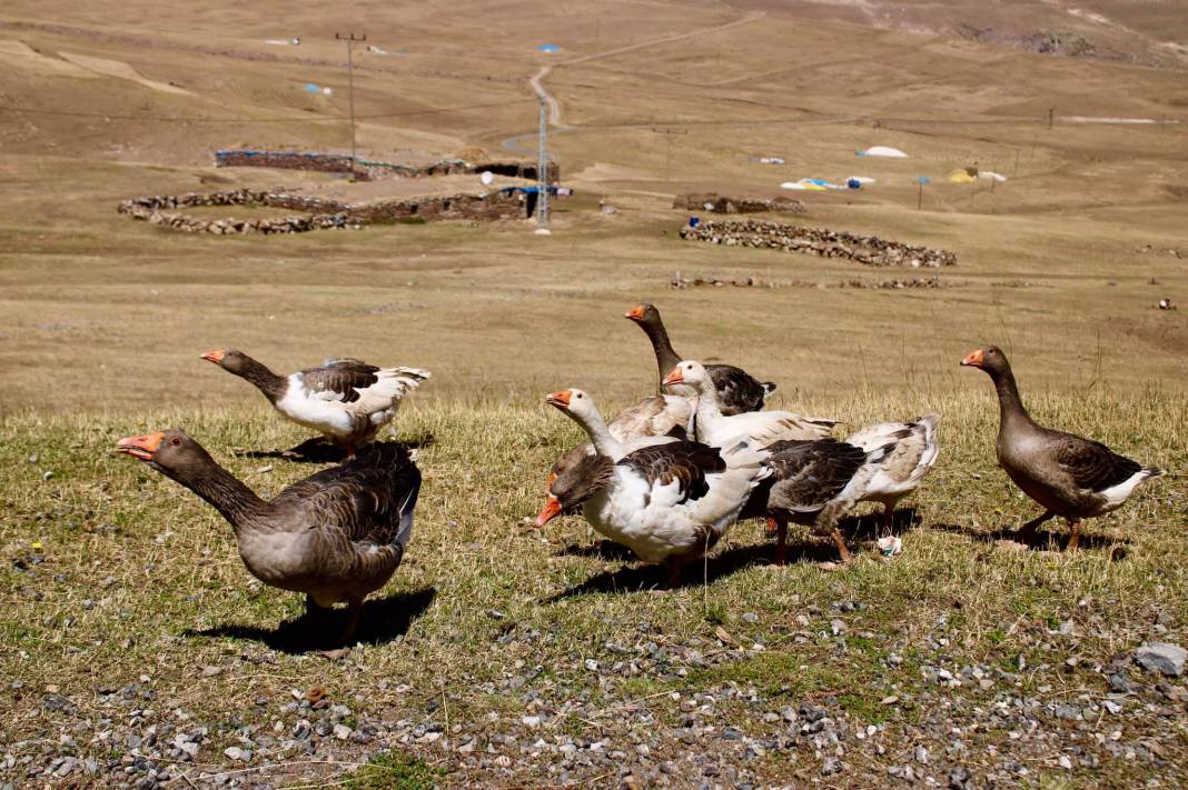 Iğdır Çilli Köyü Resimleri 5