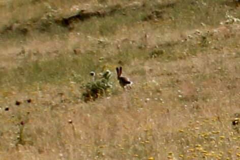 Iğdır Elmagöl Köyü Resimleri 9