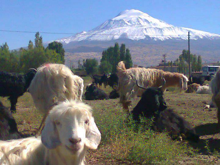 Iğdır Enginalan Köyü Resimleri 2