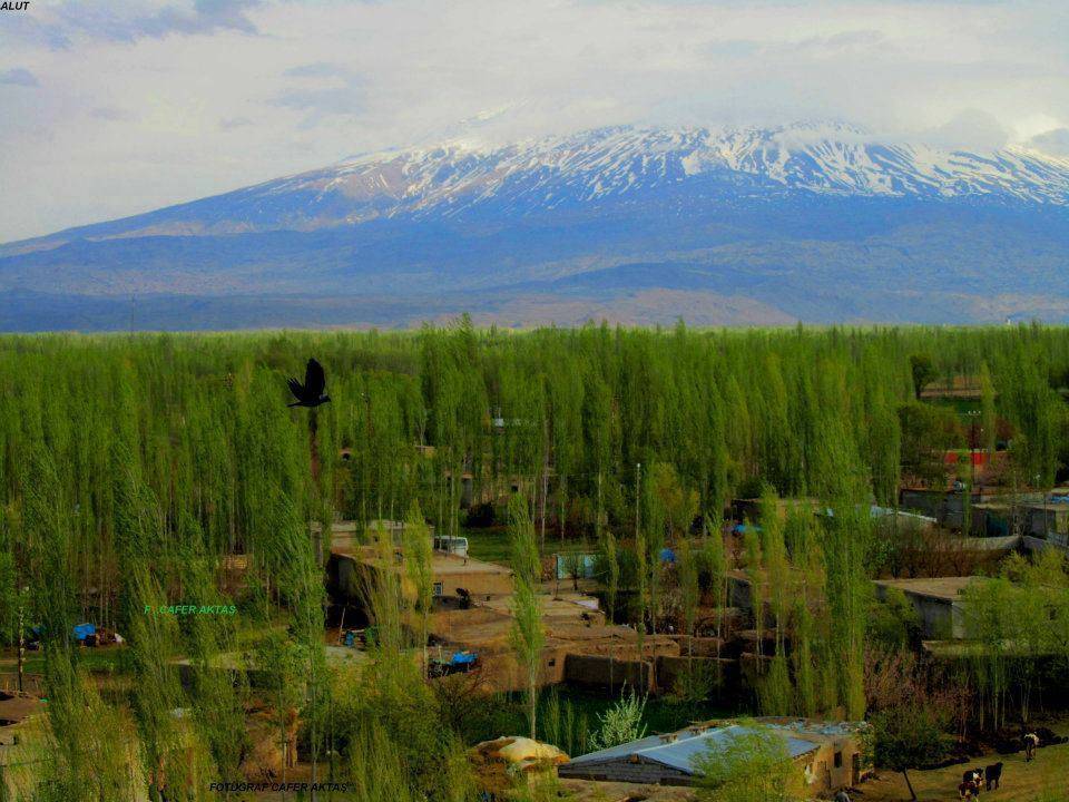 Iğdır Enginalan Köyü Resimleri 4