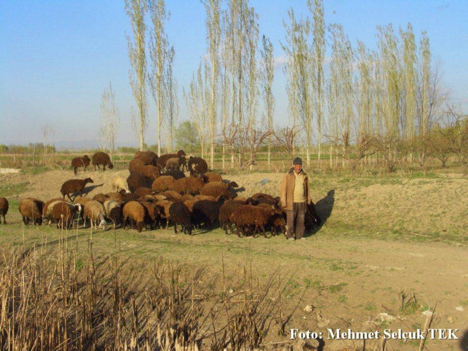 Iğdır Evci Köyü Resimleri 1