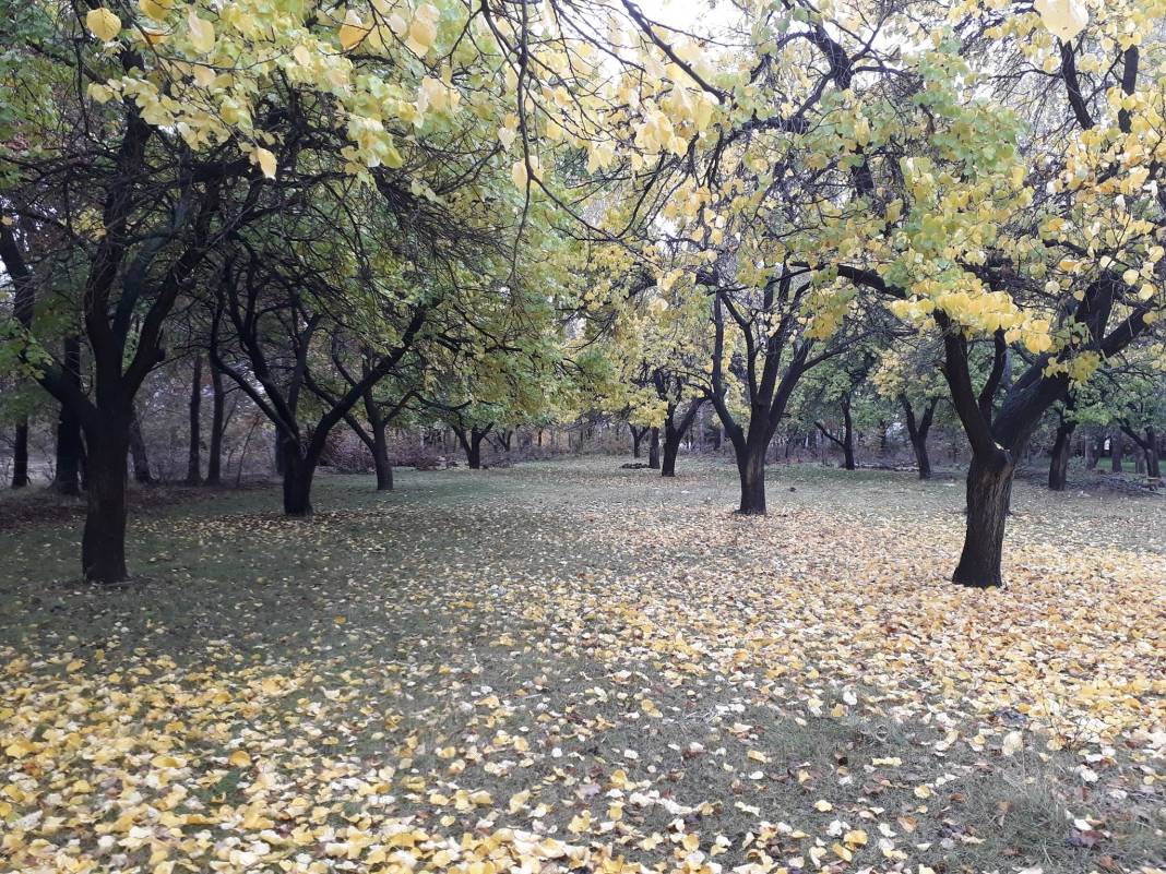 Iğdır Evci Köyü Resimleri 13