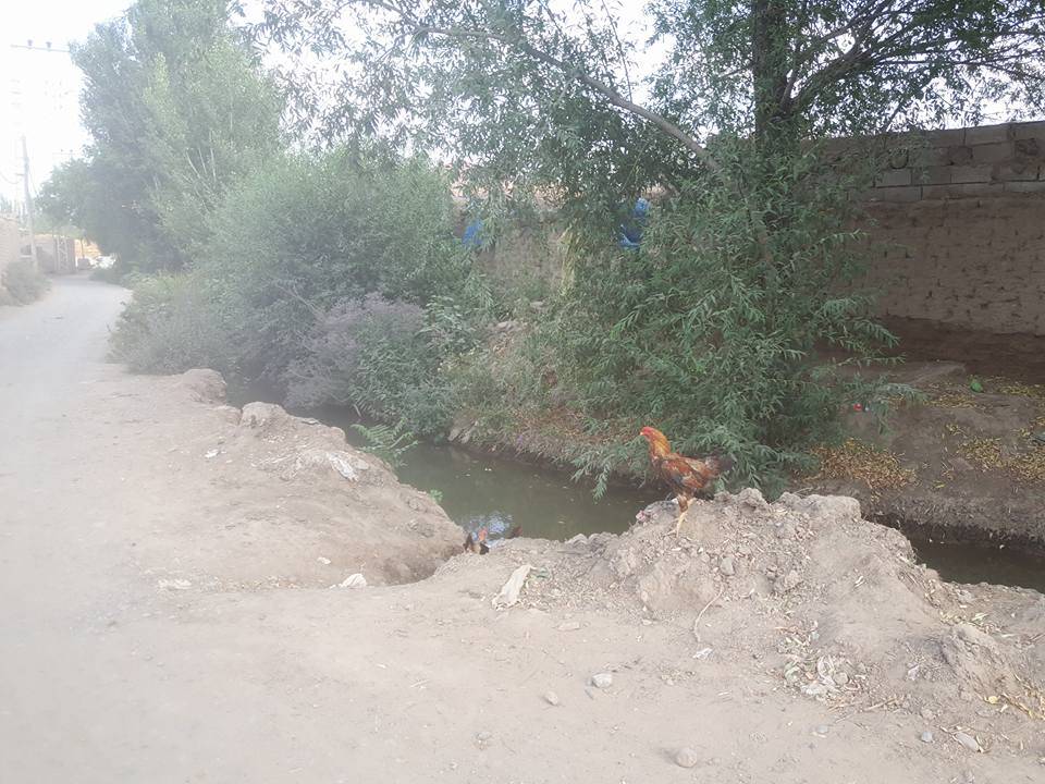 Iğdır Evci Köyü Resimleri 2