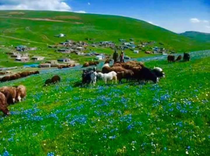 Iğdır Gülpınar Köyü Resimleri 1