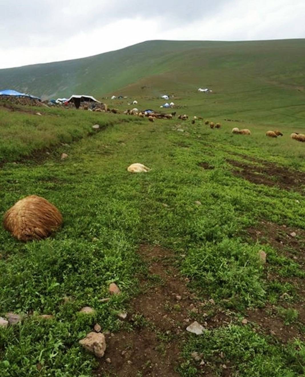 Iğdır Gülpınar Köyü Resimleri 5