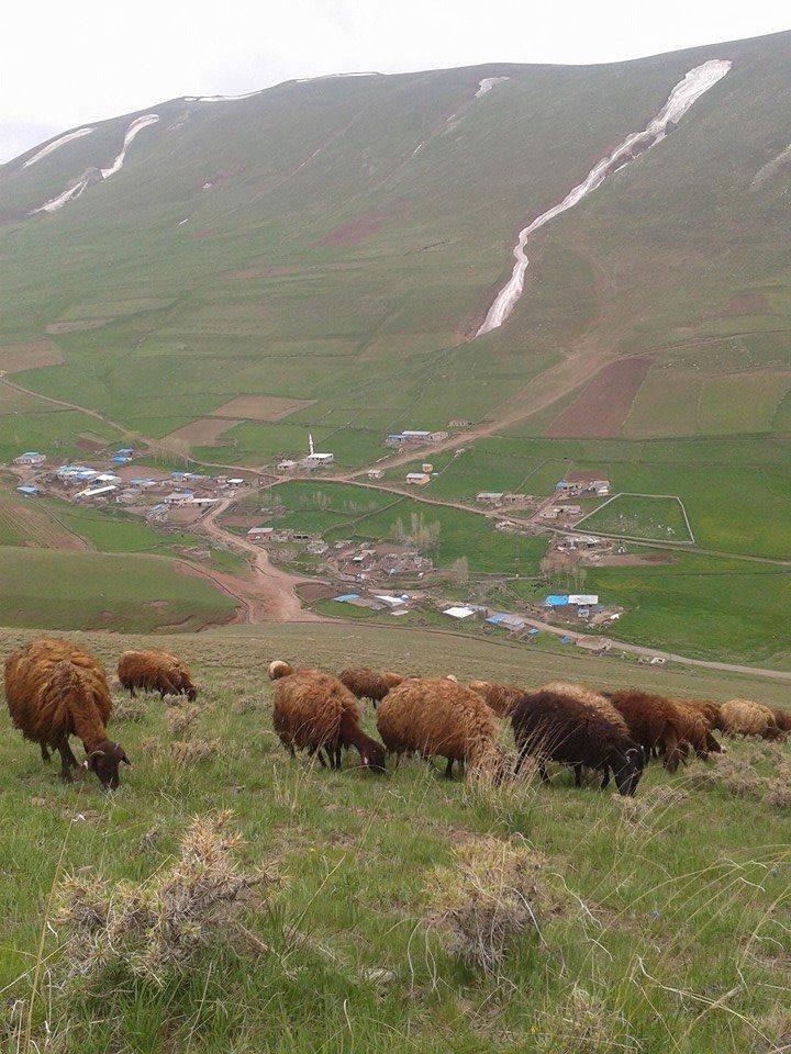 Iğdır Güngörmez Köyü Resimleri 3