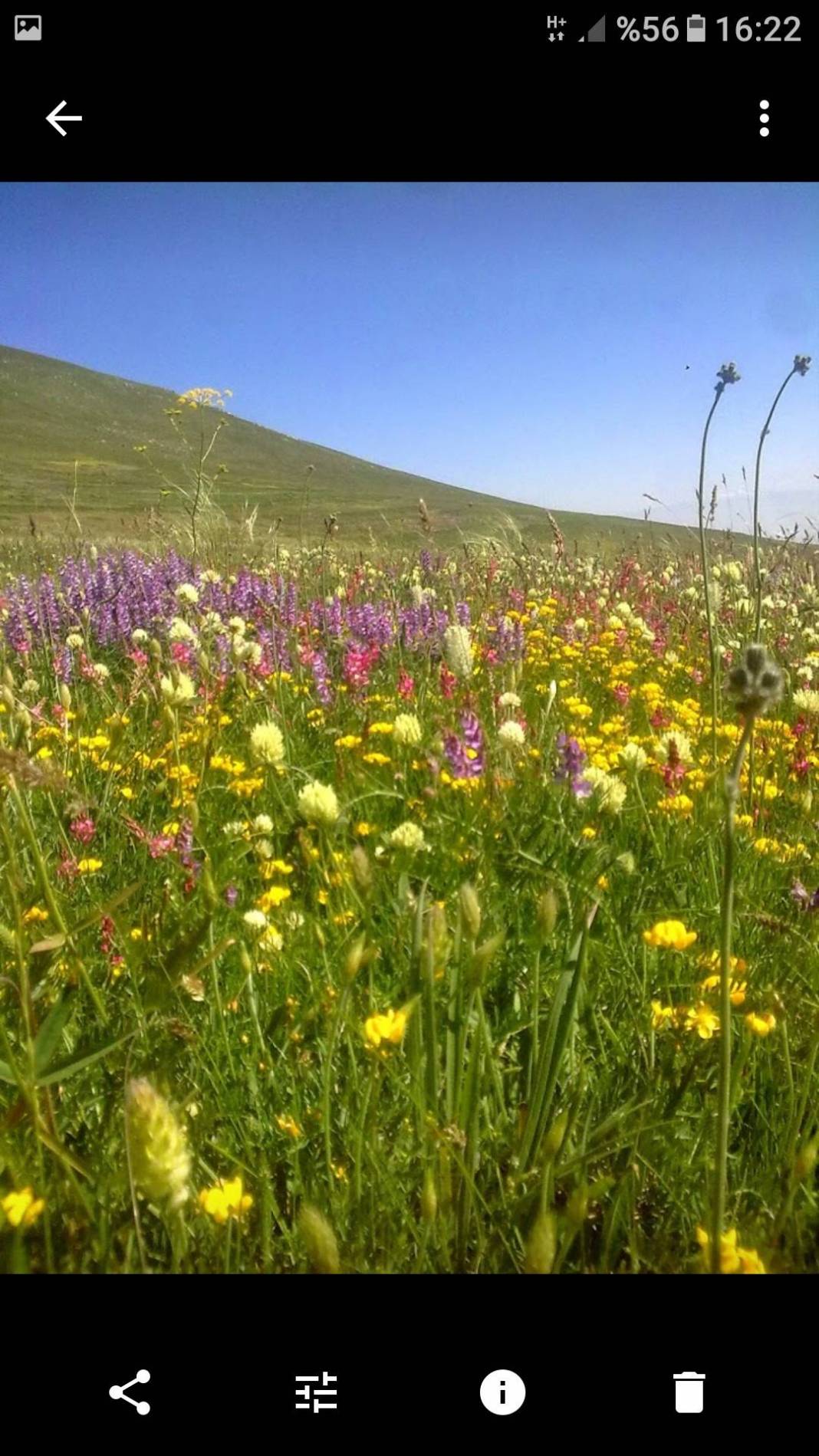 Iğdır Güngörmez Köyü Resimleri 9