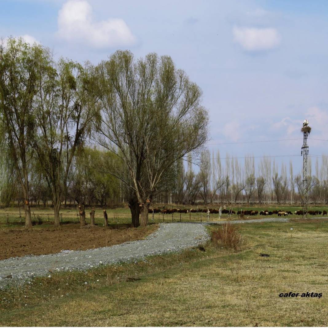 Iğdır Kadıkışlak Köyü Resimleri 4