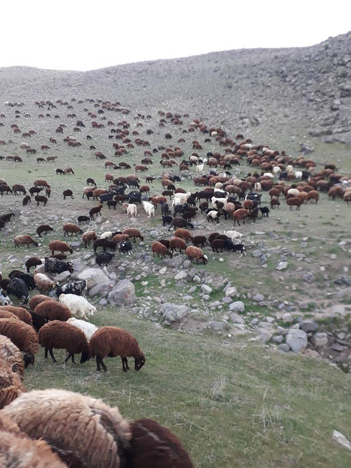 Iğdır Karagüney Köyü Resimleri 6