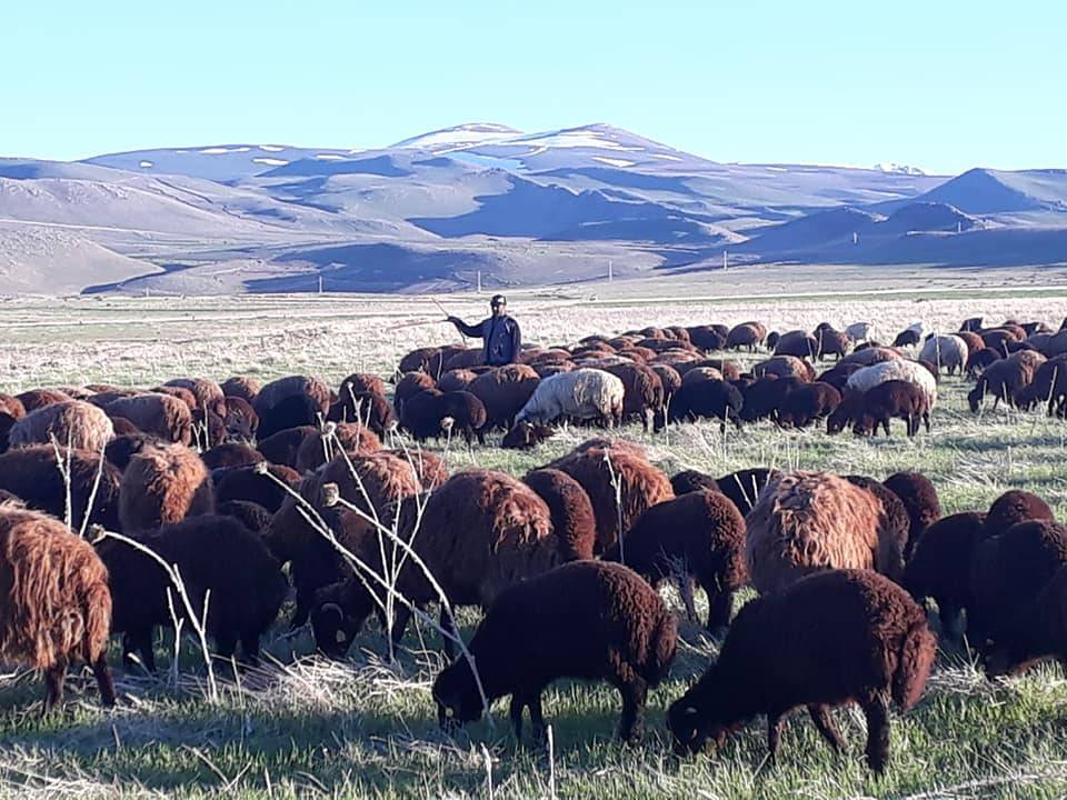 Iğdır Karagüney Köyü Resimleri 7