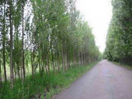 Iğdır Kasımcan Köyü Resimleri 1