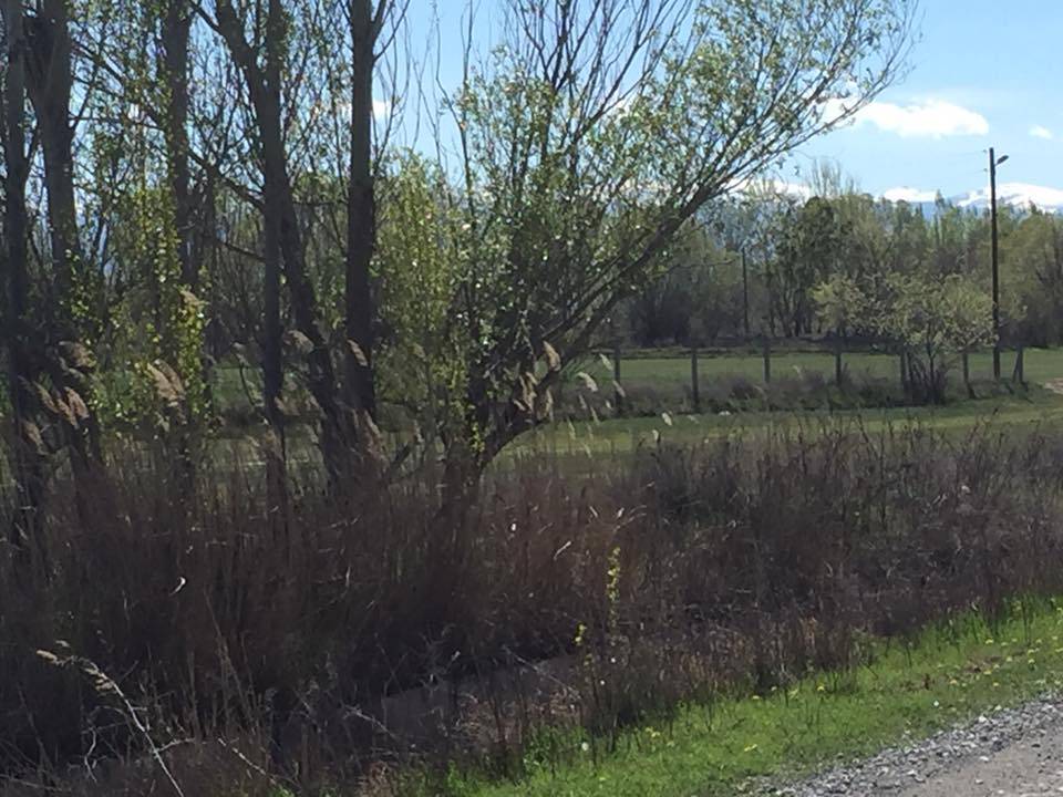 Iğdır Necefali Köyü Resimleri 1