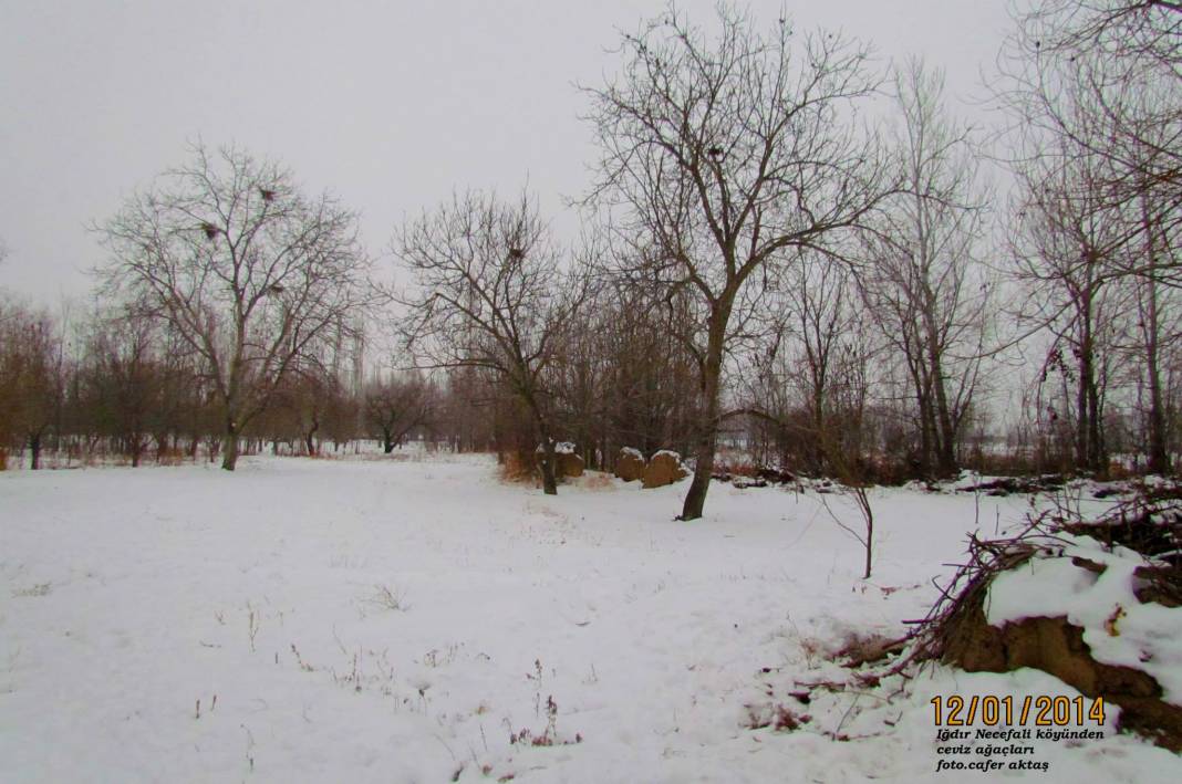 Iğdır Necefali Köyü Resimleri 2