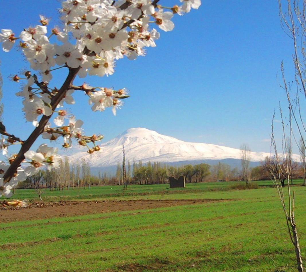 Iğdır Necefali Köyü Resimleri 3