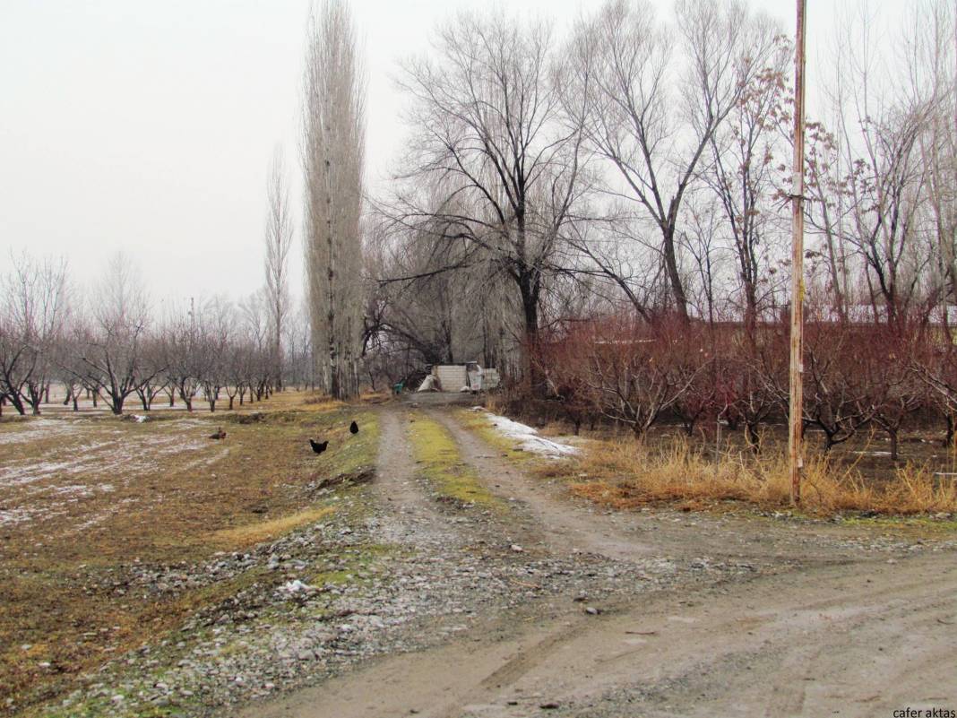 Iğdır Necefali Köyü Resimleri 6