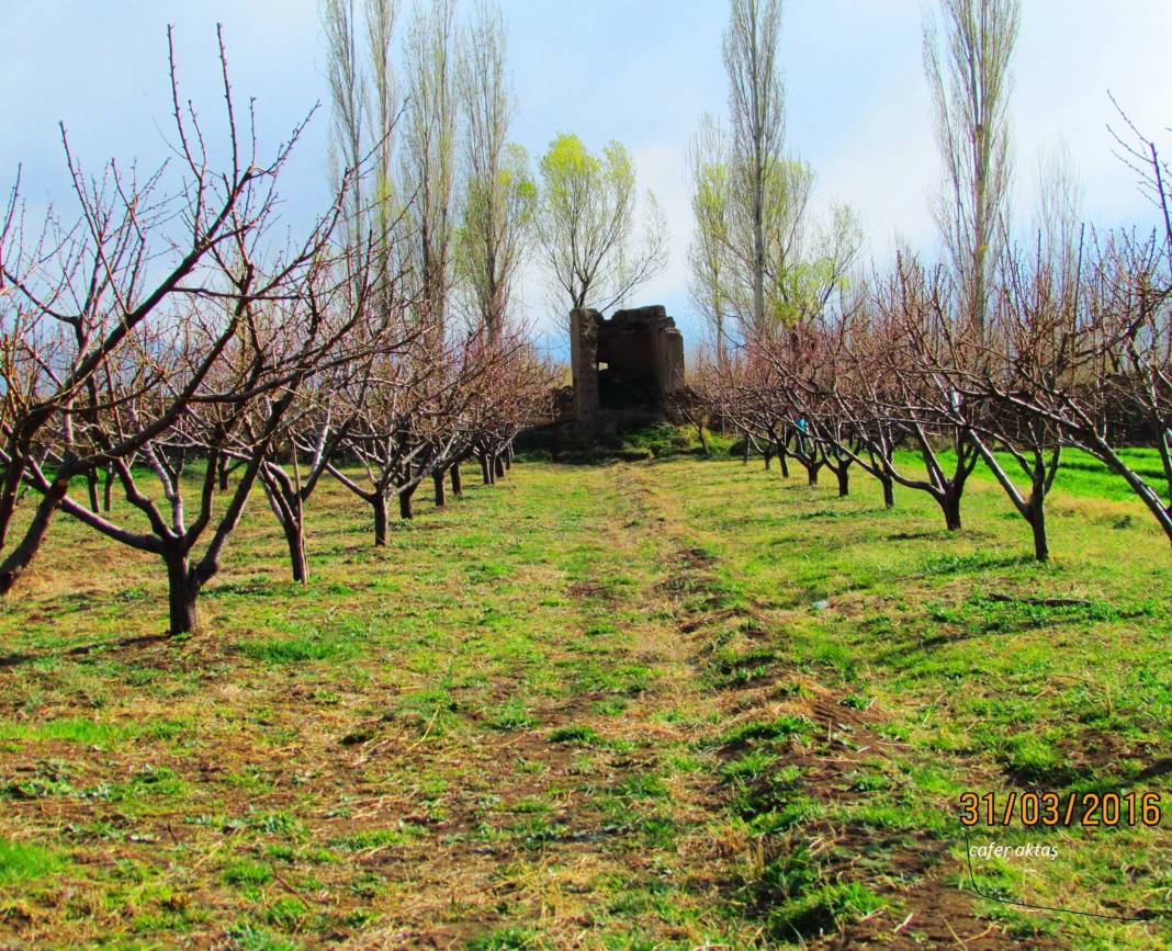 Iğdır Necefali Köyü Resimleri 9