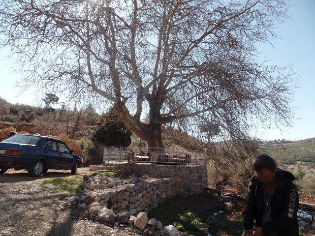 Gülnar Delikkaya Köyü Resimleri 5