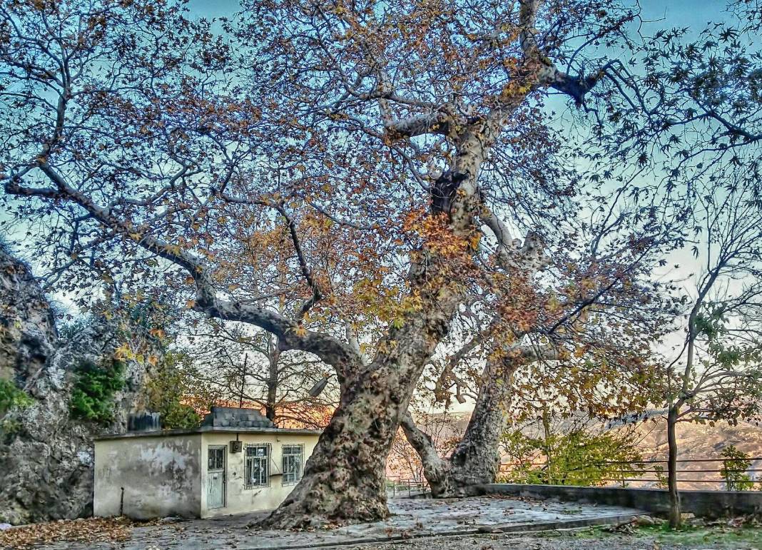 Gülnar Delikkaya Köyü Resimleri 7