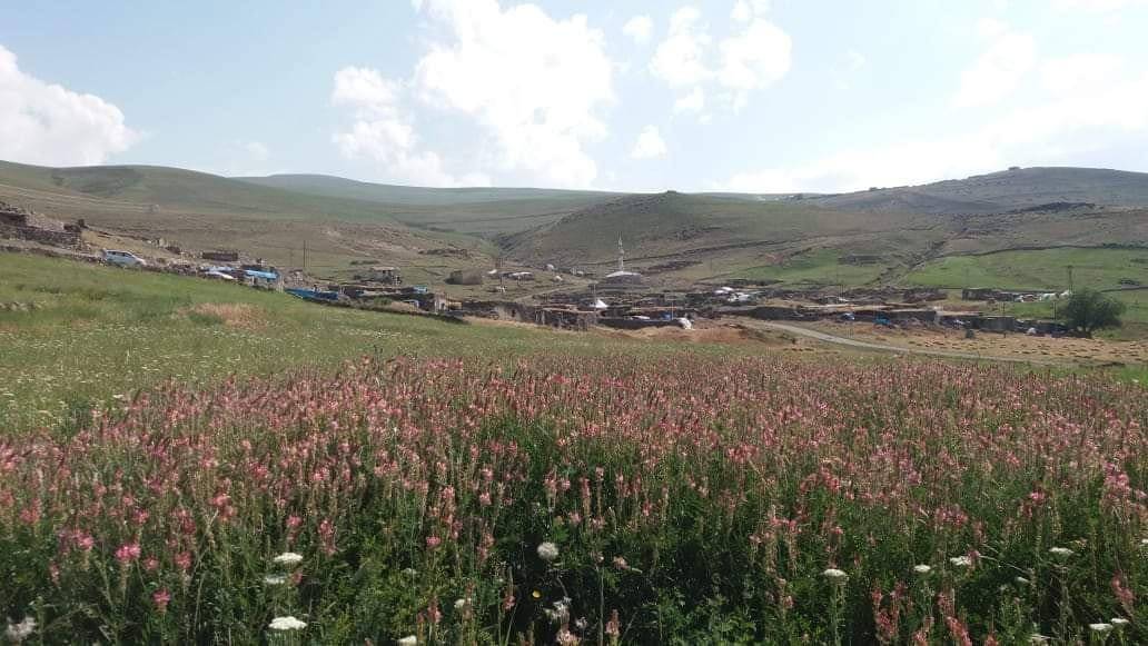 Iğdır Örüşmüş Köyü Resimleri 4