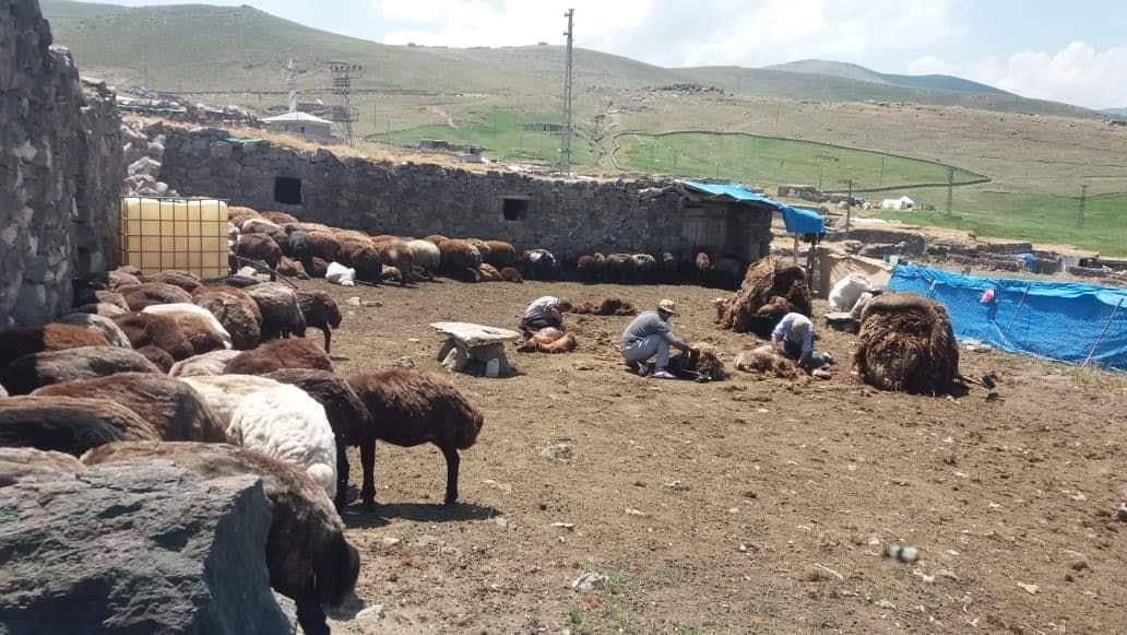 Iğdır Örüşmüş Köyü Resimleri 5