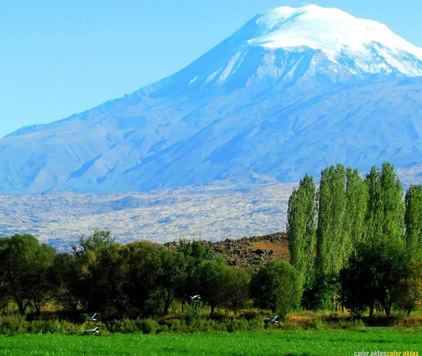 Iğdır Panik Köyü Resimleri 2