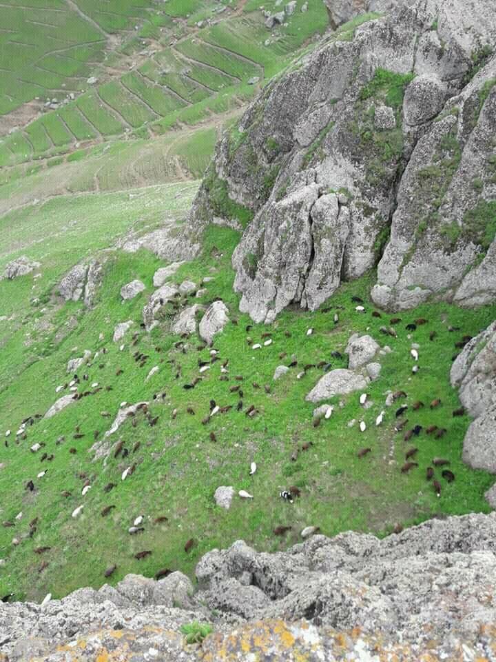 Iğdır Pınarbaşı Köyü Resimleri 12