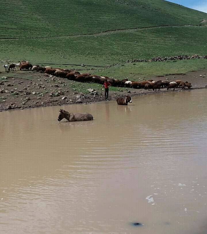 Iğdır Pınarbaşı Köyü Resimleri 4