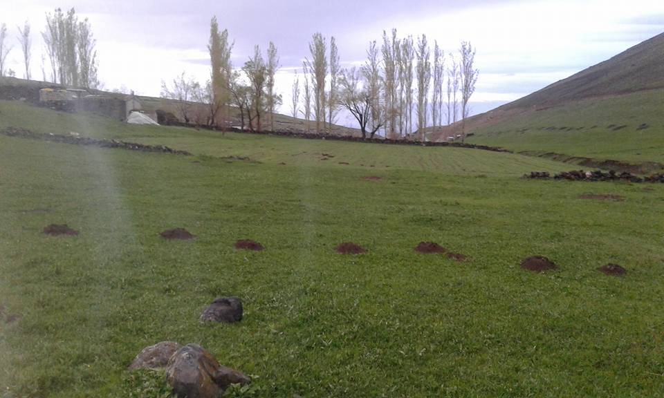 Iğdır Pınarbaşı Köyü Resimleri 5