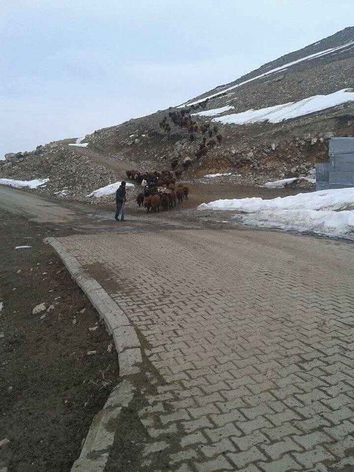 Iğdır Pınarbaşı Köyü Resimleri 7
