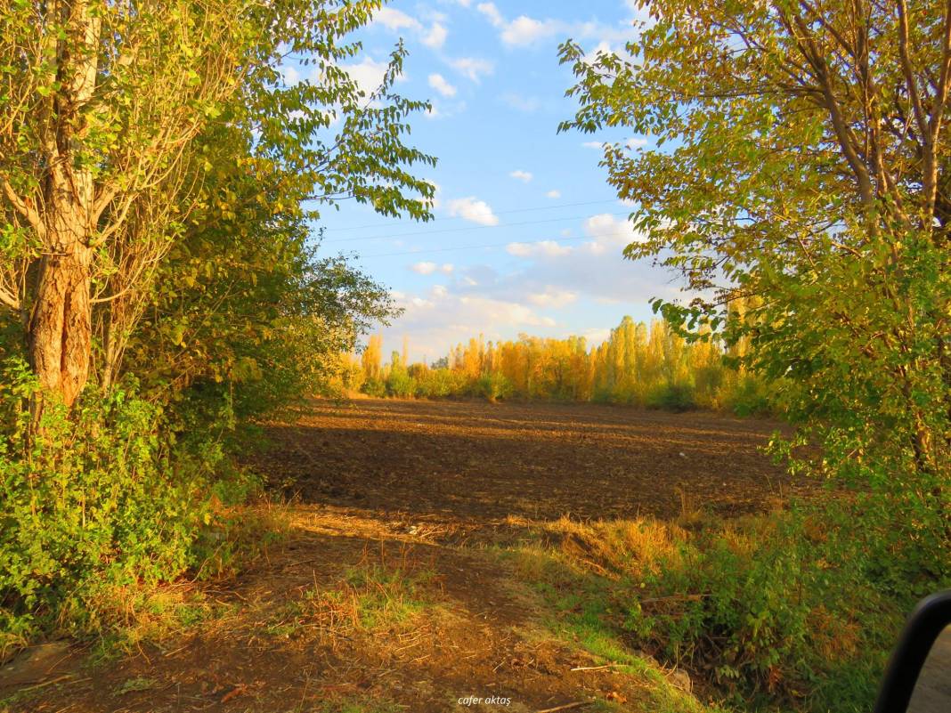 Iğdır Sarıçoban Köyü Resimleri 1