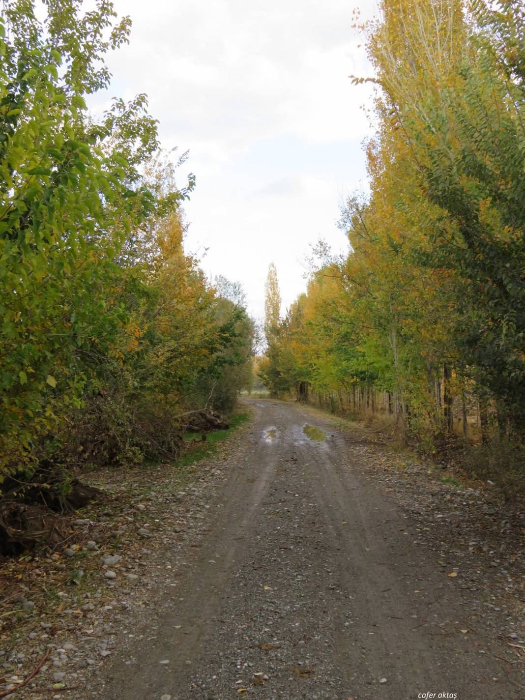 Iğdır Sarıçoban Köyü Resimleri 2