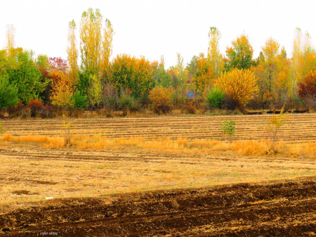 Iğdır Sarıçoban Köyü Resimleri 3