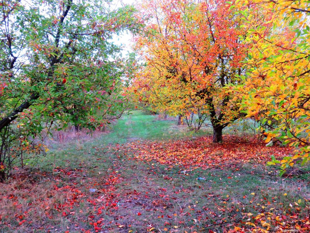 Iğdır Sarıçoban Köyü Resimleri 4