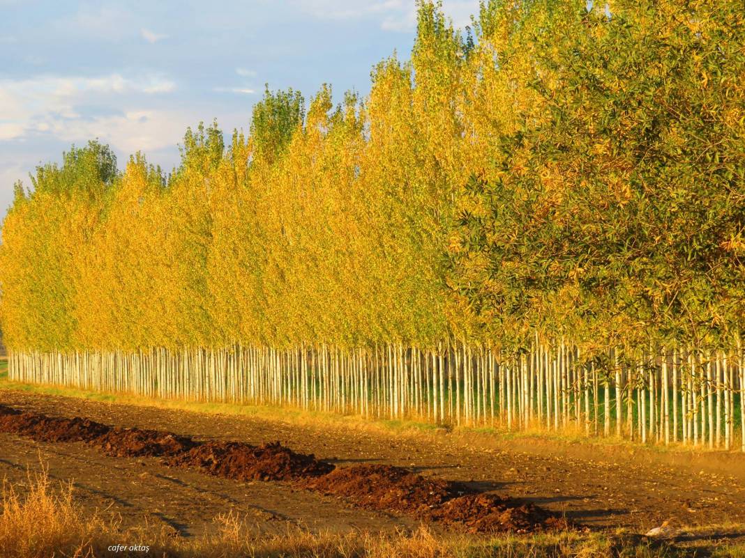 Iğdır Sarıçoban Köyü Resimleri 6