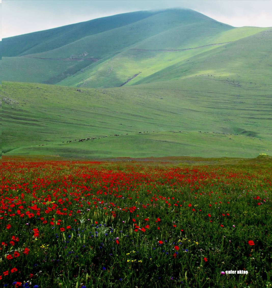 Iğdır Suveren Köyü Resimleri 6