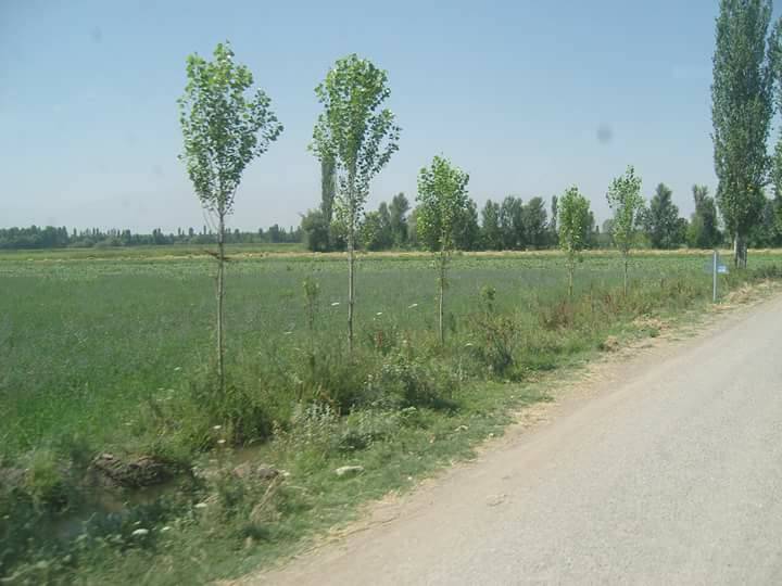 Iğdır Tacirli Köyü Resimleri 4