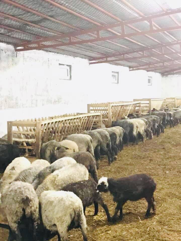 Iğdır Yaycı Köyü Resimleri 6