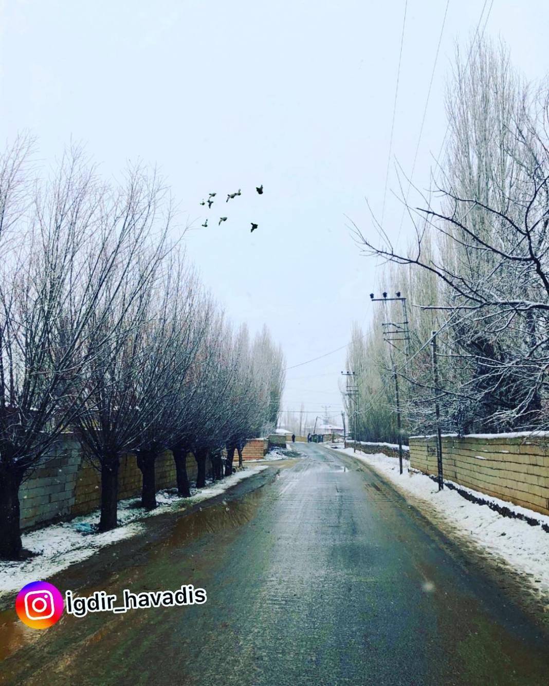 Iğdır Yüzbaşılar Köyü Resimleri 2