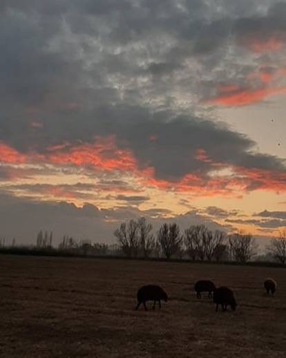 Iğdır Yüzbaşılar Köyü Resimleri 5