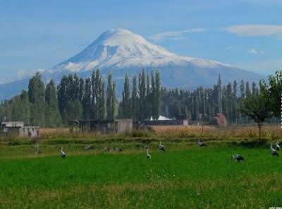 Aralık Babacan Köyü Resimleri 1