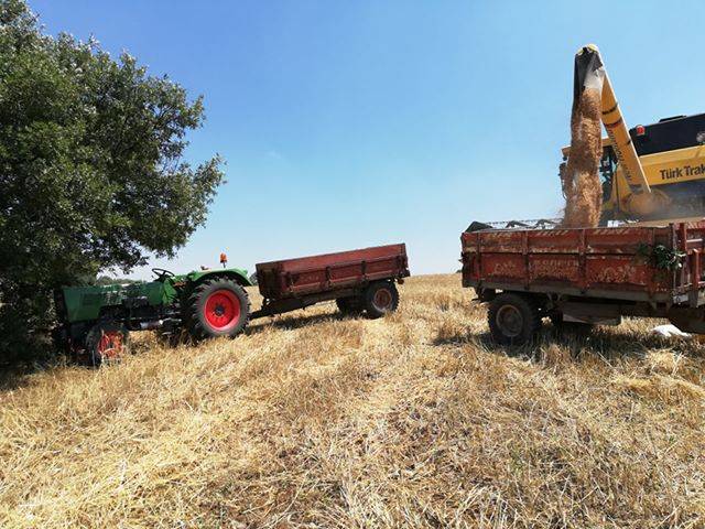 Sorgun Doğanlı Köyü Resimleri 3