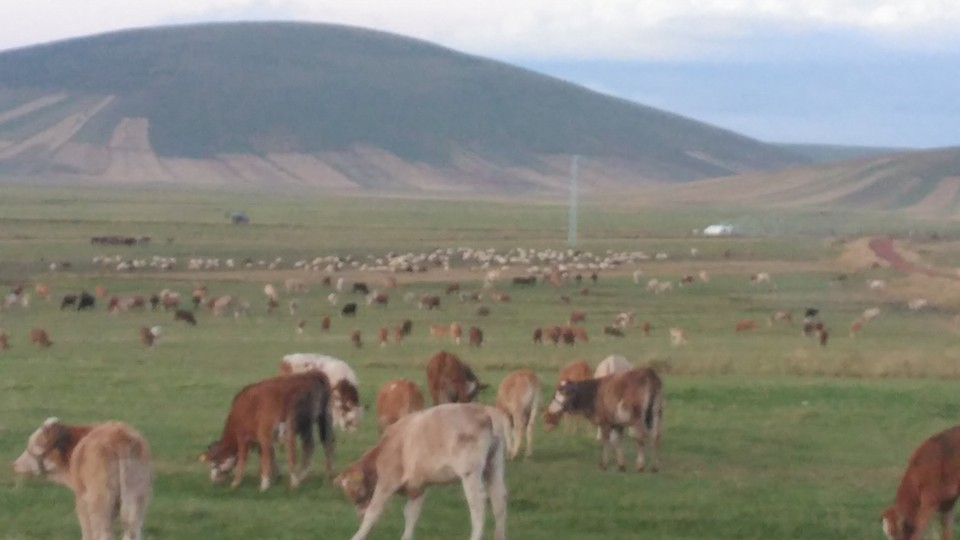 Ardahan Büyüksütlüce Köyü Resimleri 1